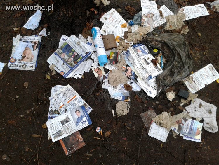 Wielkopolska po wyborach, czyli jak zawsze