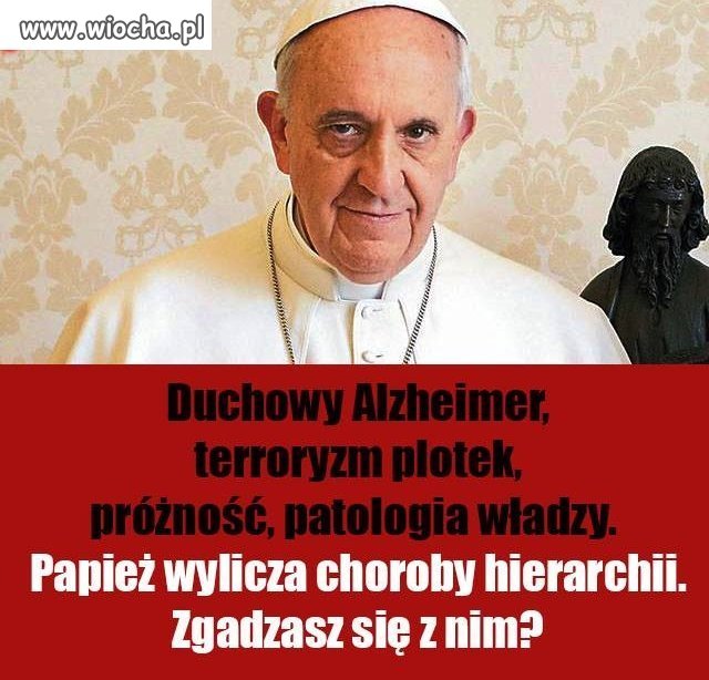 Coś czuje, że Franek długo nie pożyje