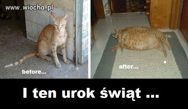 Ten niezwykły urok świąt 