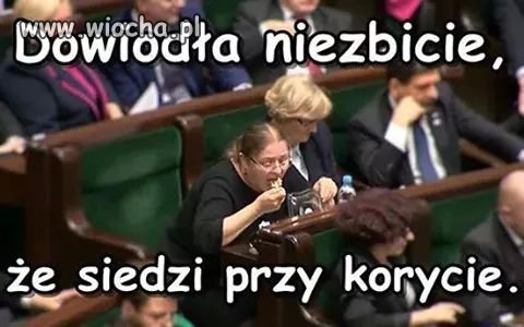 Krysia Pawłowicz 