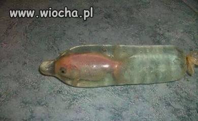 Kupiłem rybkę nie było woreczków