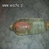 Kupiłem rybkę nie było woreczków