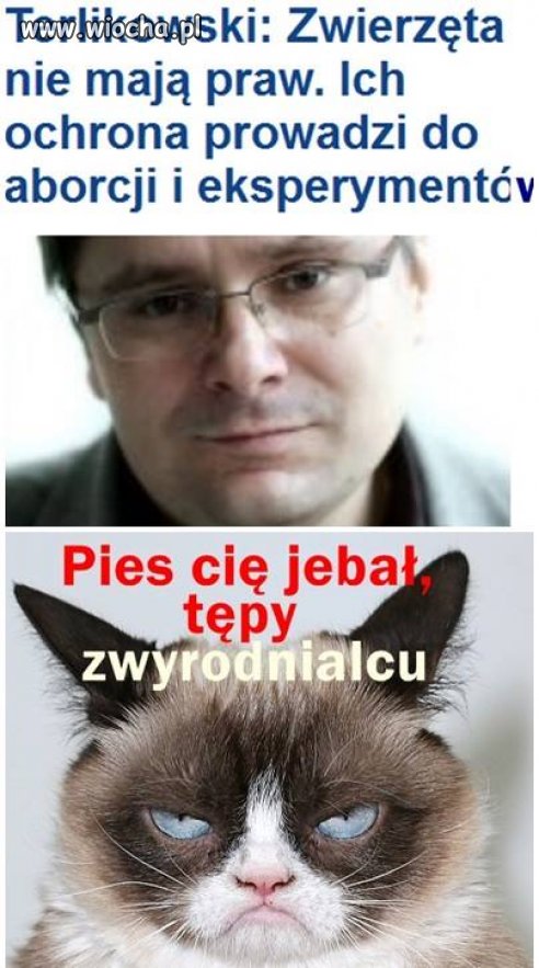 Terlikowski... Szef TV Republika. 