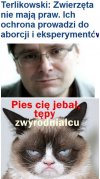 Terlikowski... Szef TV Republika. 
