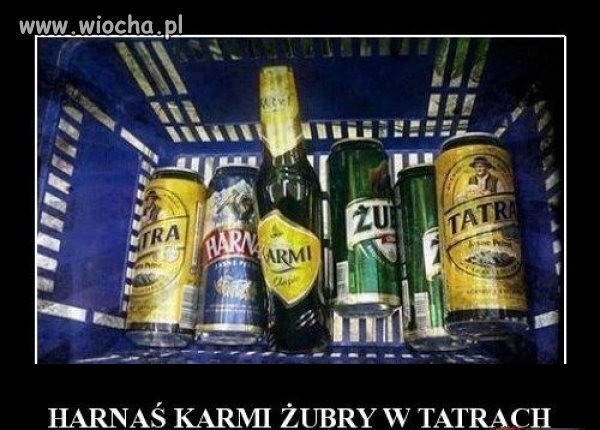 Harnaś i Żubry