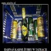 Harnaś i Żubry