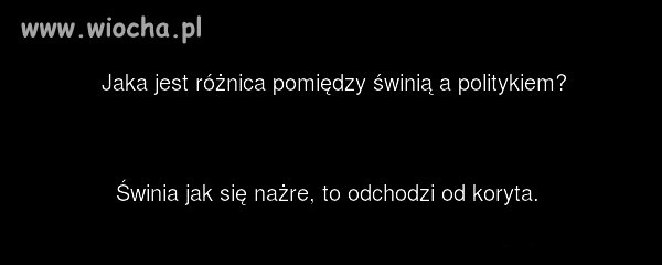 Różnica pomiedzy świnią, a politykiem?