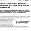 Zamieszanie w wyborach jako przysłona dymna dla...