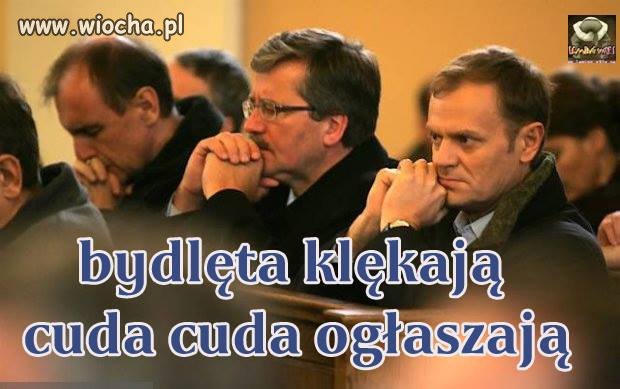 Cuda ogłaszają