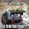 To po co to wozić cały rok