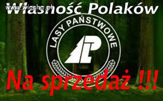 Ciekawe co nam wytłumaczą (PO)mpujący?