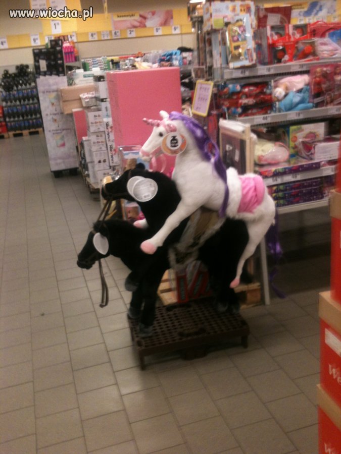 Orgia koni w Netto