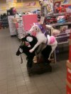Orgia koni w Netto