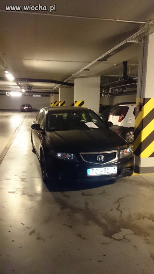 Mistrz parkingu 
