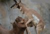Newsy z zoo