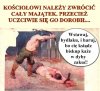 A emeryci z uśmiechem na twarzy