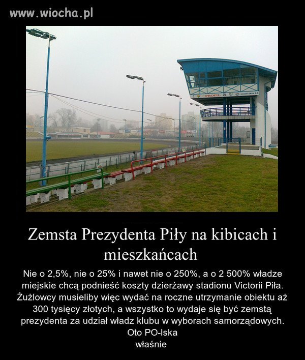 PO wyborach