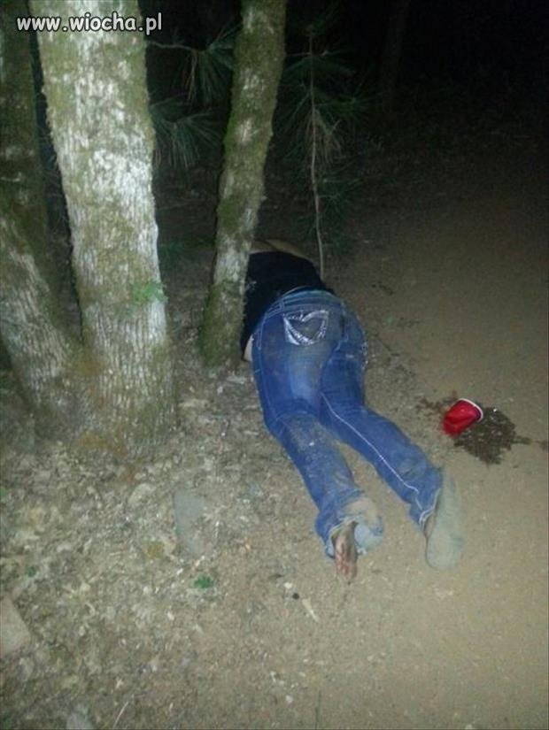 A cóż to za zwierz kryjący się w lesie?