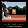 Podziękujmy Solożowi w oryginalny sposób