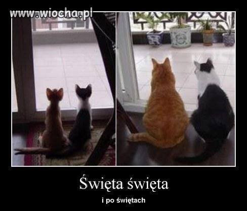 Święta , święta  ...