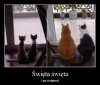 Święta , święta  ...