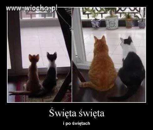 Święta , święta  ...