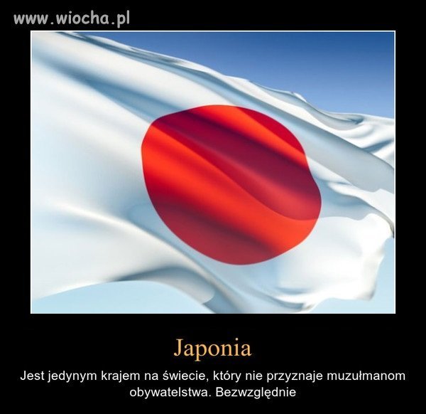 I LOVE JAPAN (jedyni na świecie )