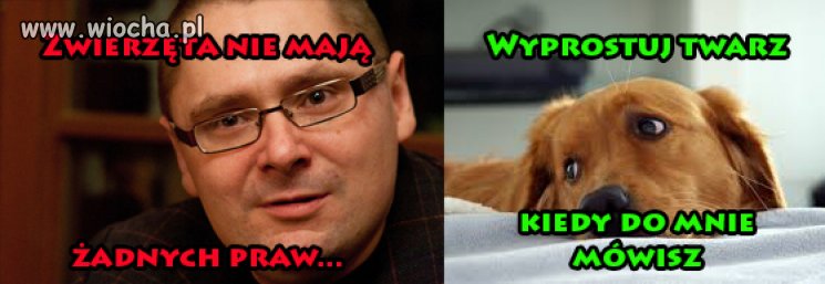 Zwierzęta nie mają