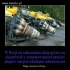 U nich to nawet zimy