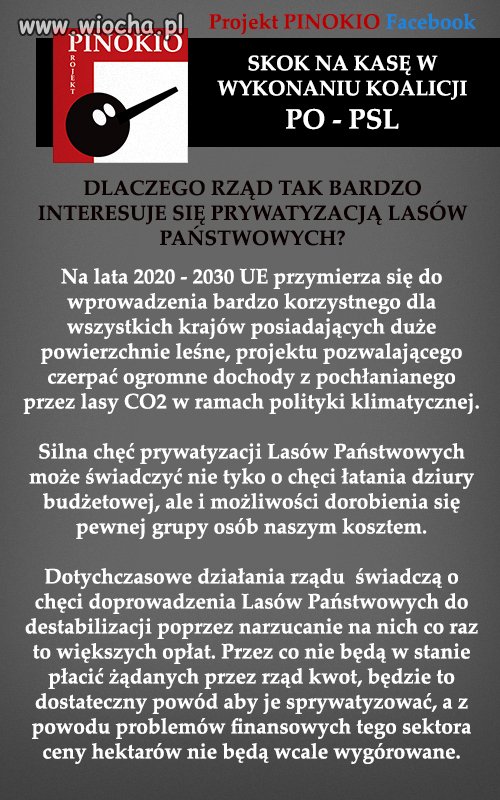 Projekt Pinokio