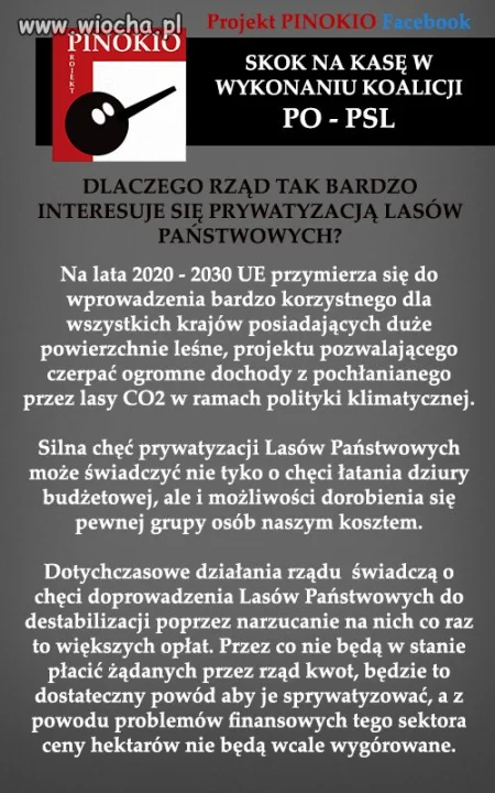 Projekt Pinokio