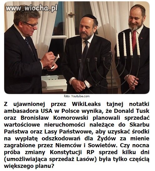 Tusk i Komorowski chcieli sprywatyzować Lasy Państwowe,