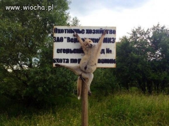 Tych geniuszy z takimi pomysłami