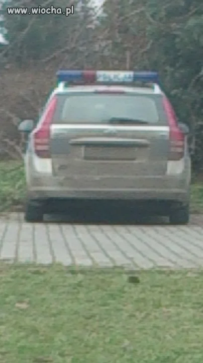 Panowie bezkarni