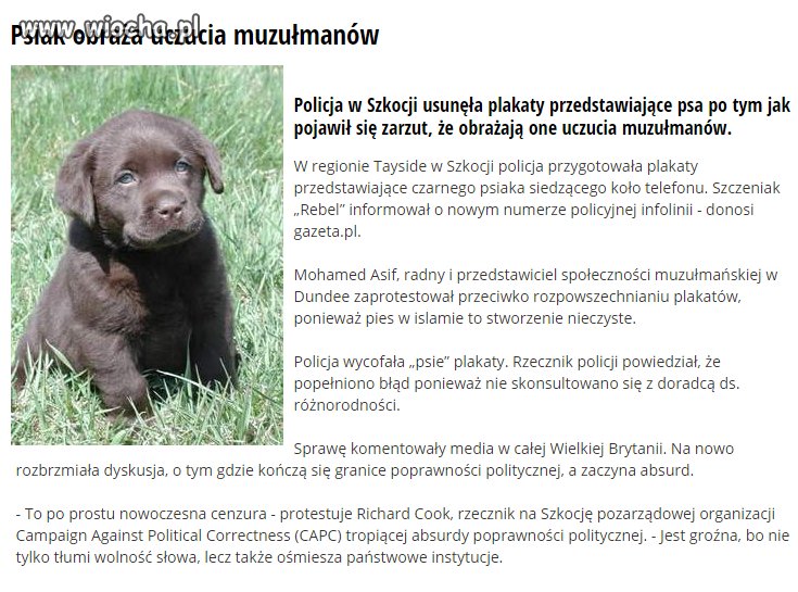 Czy jest coś co ich nie obraża?