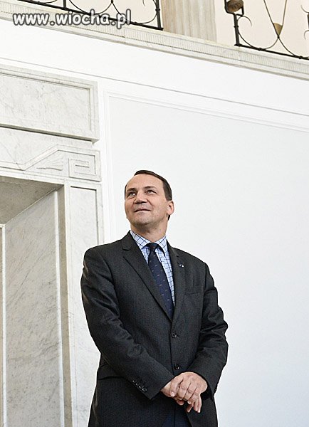 WŁOS MU Z GŁOWY NIE SPADNIE