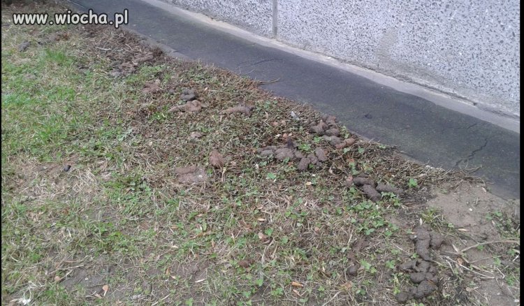 Lublin - Czechów - " nie, to niemożliwe...