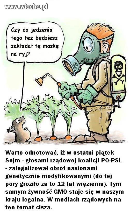 Już niedługo genetycznie modyfikowana żywność