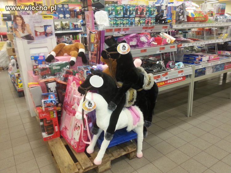 Edukacja seksualna w netto 