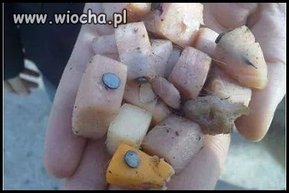 Yebanemu gnojowi sam bym kazał to zjeść!