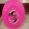 Flying Dick