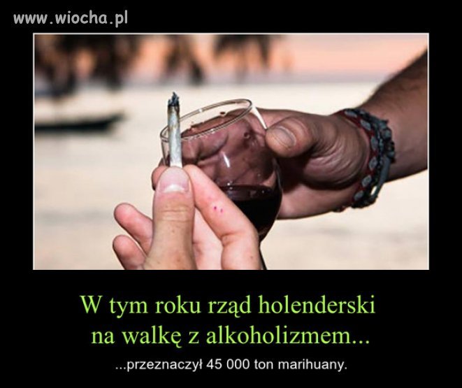 Można skutecznie? Można 