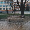 Burmistrz dba 