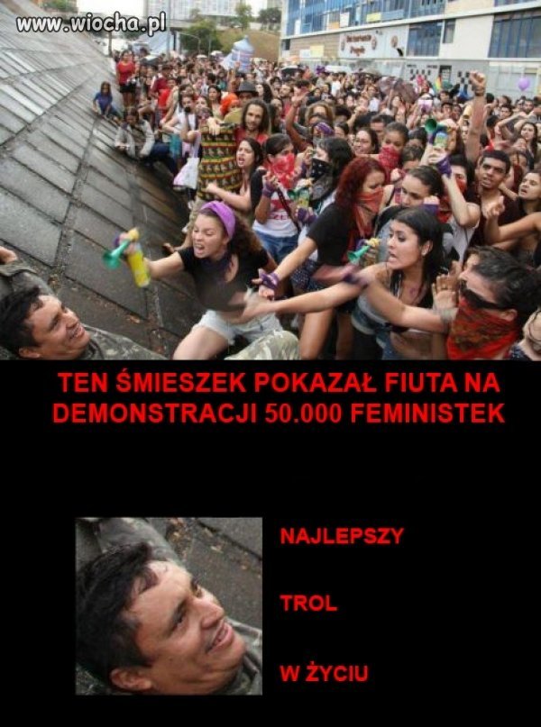Troll werja live level expert