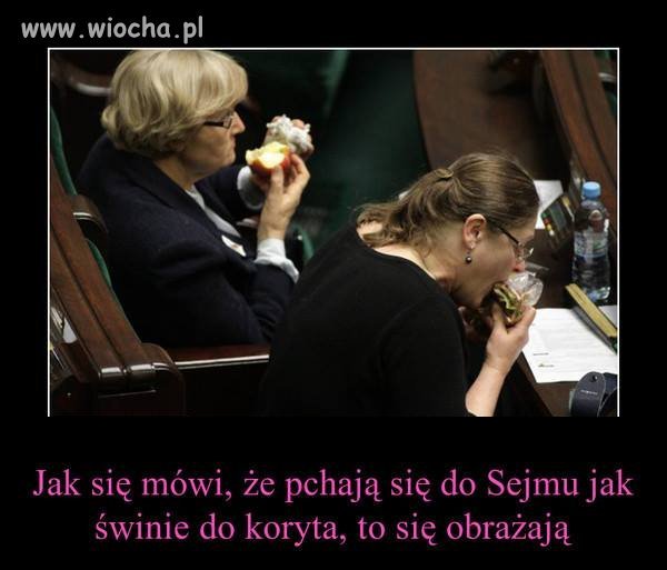Nie ma się o co