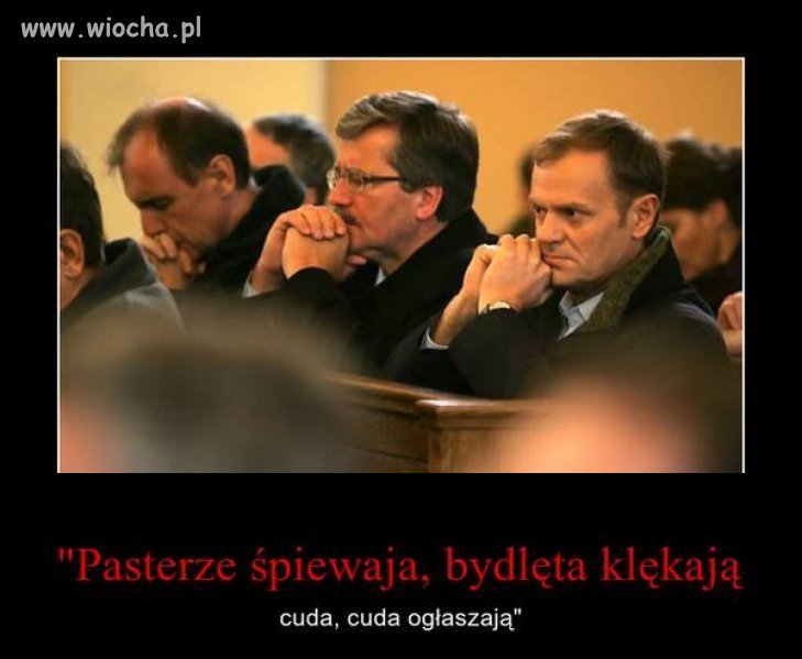 Wstawka bardzo świąteczna 