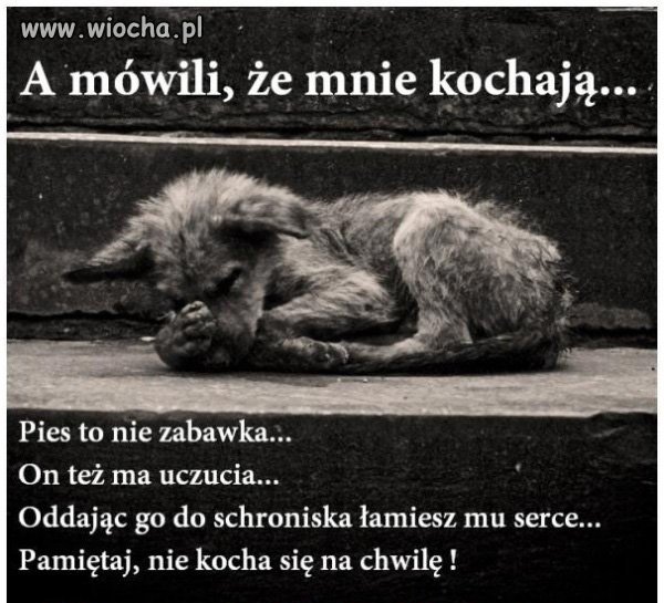 Komentarz zbędny