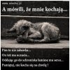 Komentarz zbędny