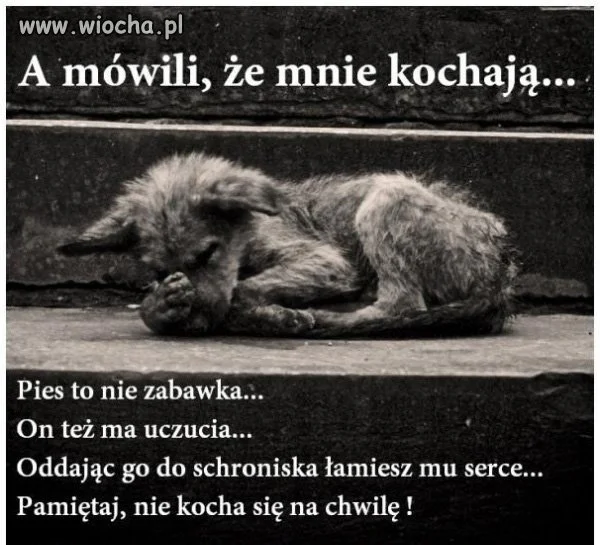 Komentarz zbędny