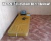 Mieszkam na swoim